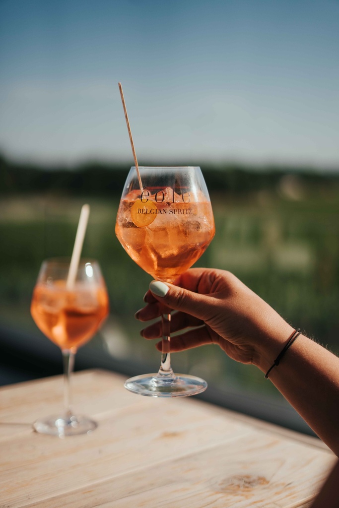 Coffret Eole Belgian Spritz 20cl & 2 Pomelo 20cl