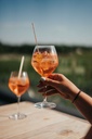 Coffret Eole Belgian Spritz 20cl & 2 Pomelo 20cl